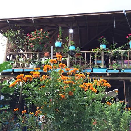 Wood House Hostel La Fortuna Zewnętrze zdjęcie