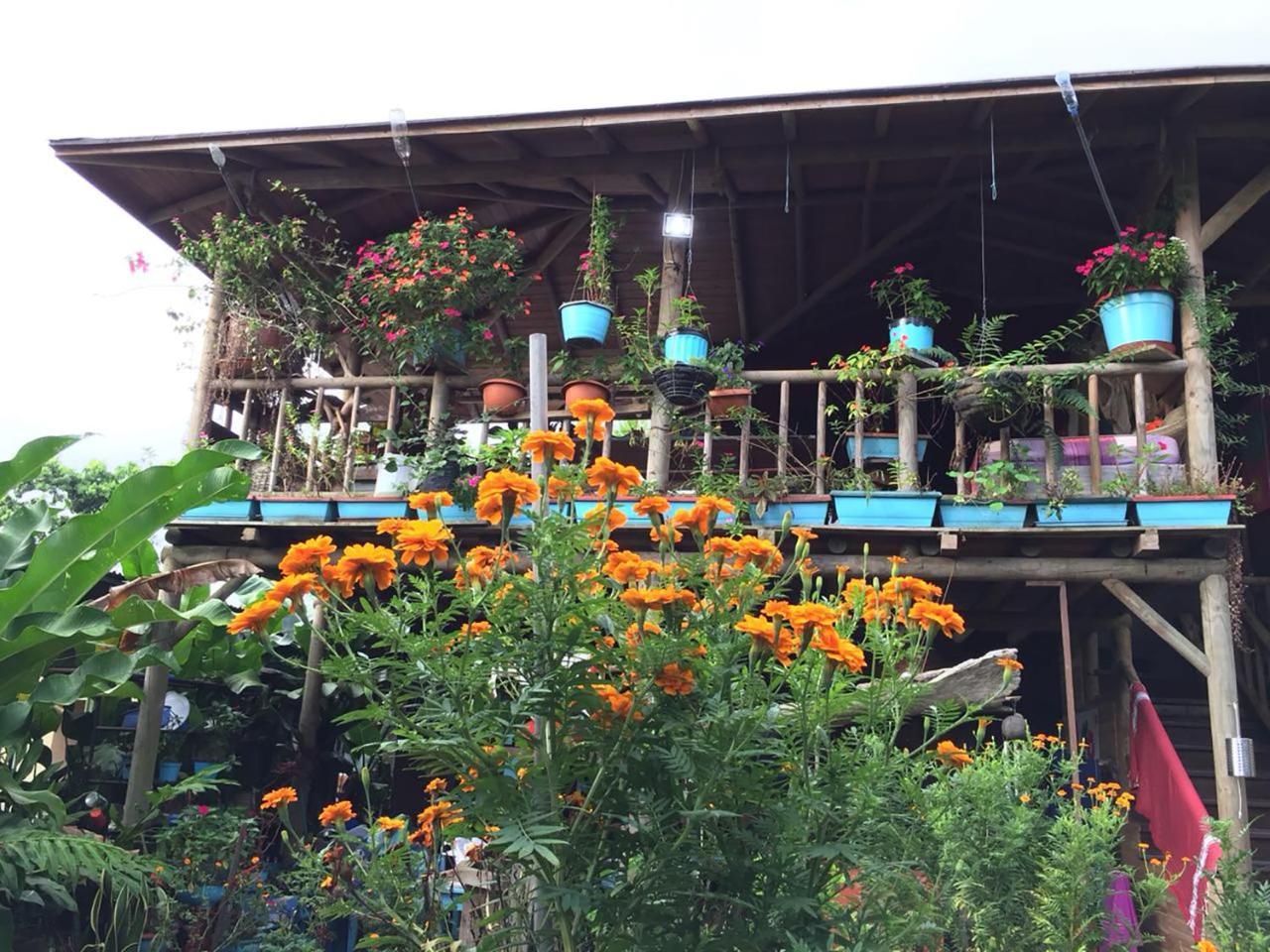 Wood House Hostel La Fortuna Zewnętrze zdjęcie