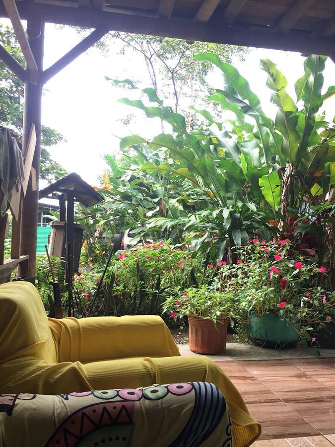 Wood House Hostel La Fortuna Zewnętrze zdjęcie