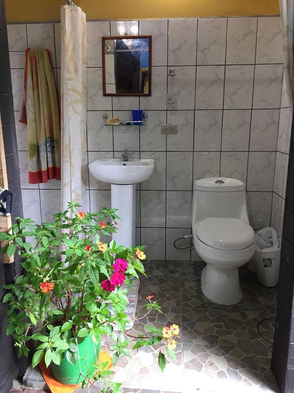 Wood House Hostel La Fortuna Zewnętrze zdjęcie