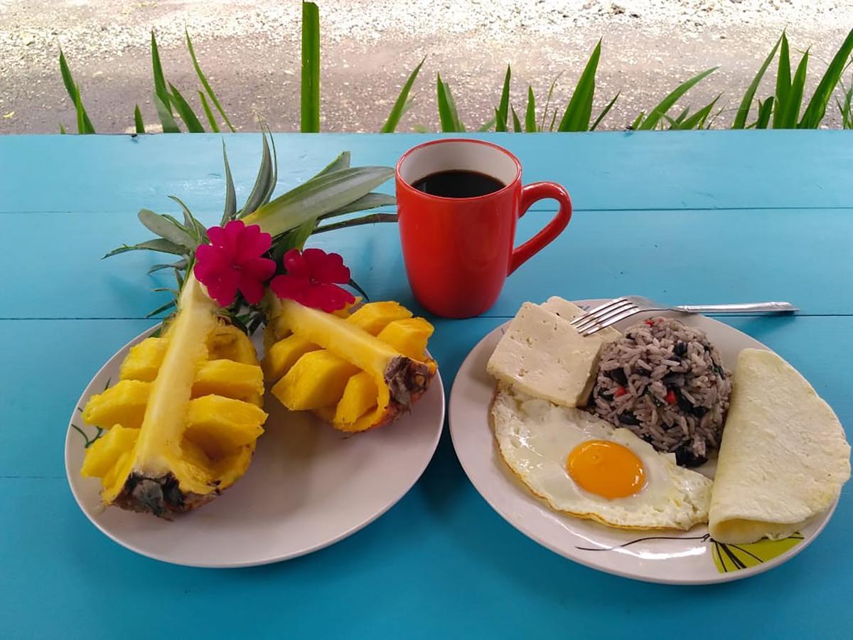 Wood House Hostel La Fortuna Zewnętrze zdjęcie